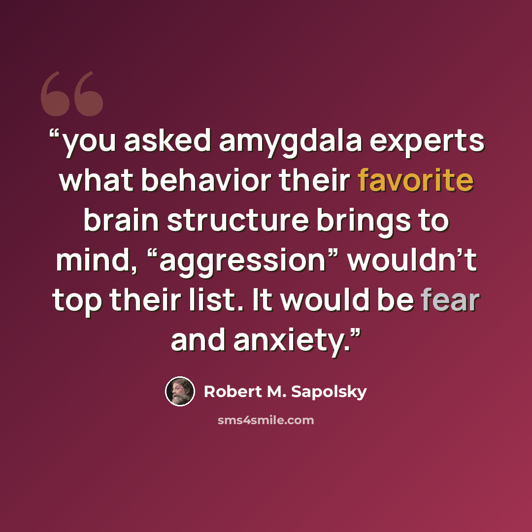 “you asked amygdala experts what behavior their favorite brain structure brings to mind, “aggression” wouldn’t top their list. It would be fear and anxiety.” quote by Robert M. Sapolsky