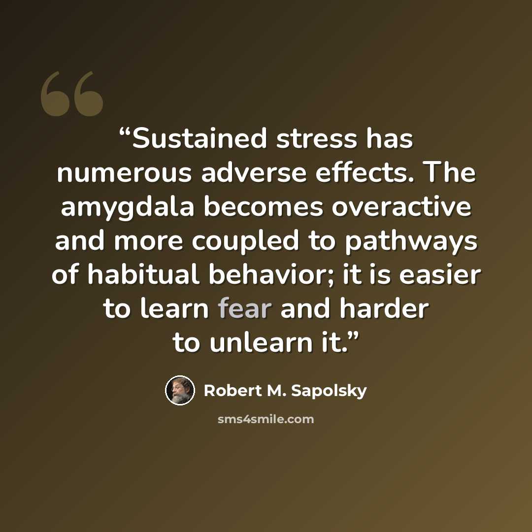 “Sustained stress has numerous adverse effects. The amygdala becomes overactive and more coupled to pathways of habitual behavior; it is easier to learn fear and harder to unlearn it.” quote by Robert M. Sapolsky