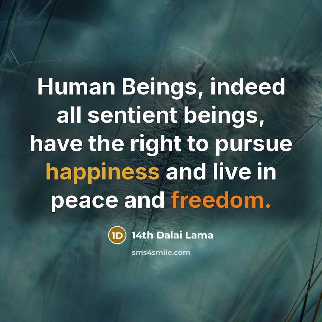 “Human Beings, indeed all sentient beings, have the right to pursue happiness and live in peace and freedom.” quote by 14th Dalai Lama