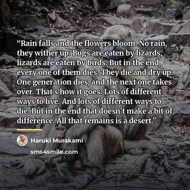“Rain falls and the flowers bloom. No rain, they wither up. Bugs are eaten by lizards, lizards are eaten by birds. But in the end, every one of them dies. They die and dry up. One generation dies, and the next one takes over. That’s how it goes. Lots of different ways to live. And lots of different…” quote by Haruki Murakami