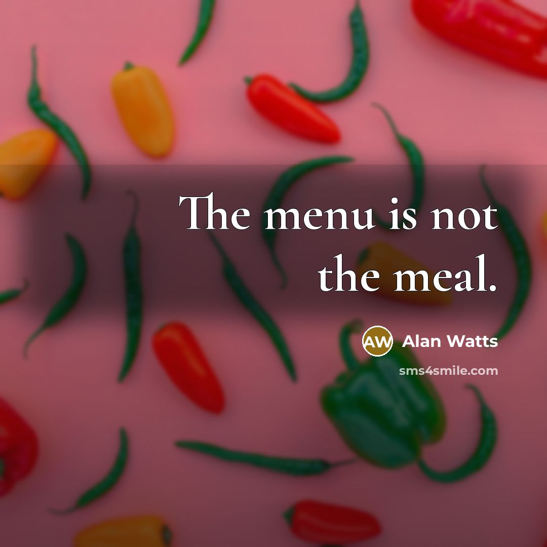 “The menu is not the meal.” quote by Alan Watts