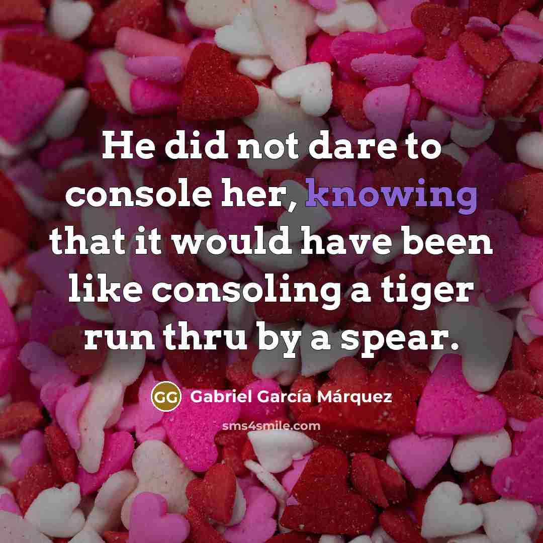 “He did not dare to console her, knowing that it would have been like consoling a tiger run thru by a spear.” quote by Gabriel Garcia Marquez