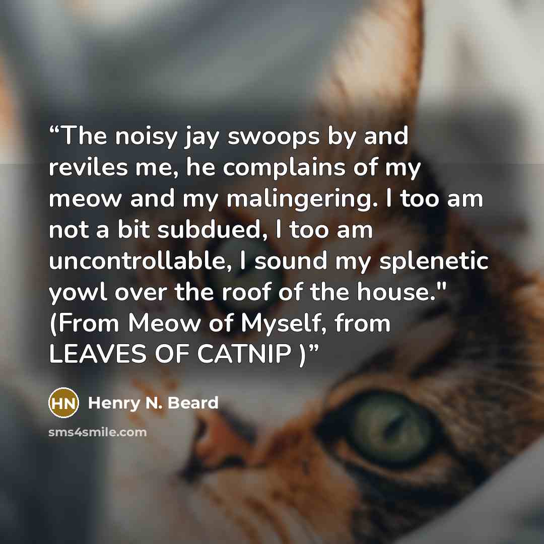 “The noisy jay swoops by and reviles me, he complains of my meow and my malingering. I too am not a bit subdued, I too am uncontrollable, I sound my splenetic yowl over the roof of the house." (From Meow of Myself, from LEAVES OF CATNIP )” quote by Henry N. Beard