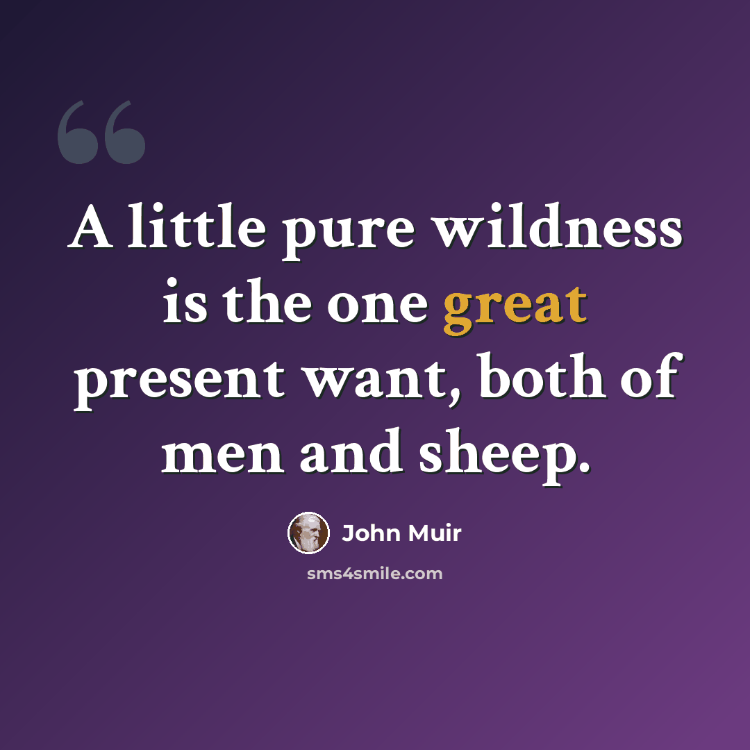“A little pure wildness is the one great present want, both of men and sheep.” quote by John Muir