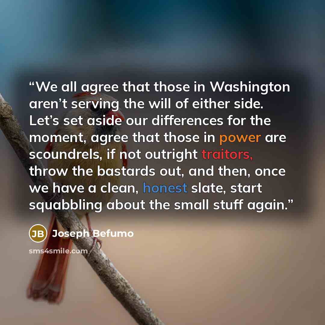 “We all agree that those in Washington aren’t serving the will of either side. Let’s set aside our differences for the moment, agree that those in power are scoundrels, if not outright traitors, throw the bastards out, and then, once we have a clean, honest slate, start squabbling about the small…” quote by Joseph Befumo
