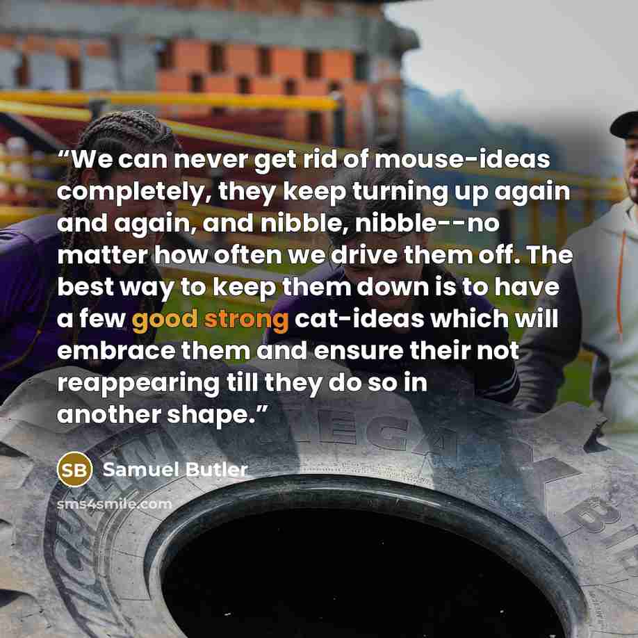 “We can never get rid of mouse-ideas completely, they keep turning up again and again, and nibble, nibble--no matter how often we drive them off. The best way to keep them down is to have a few good strong cat-ideas which will embrace them and ensure their not reappearing till they do so in another…” quote by Samuel Butler