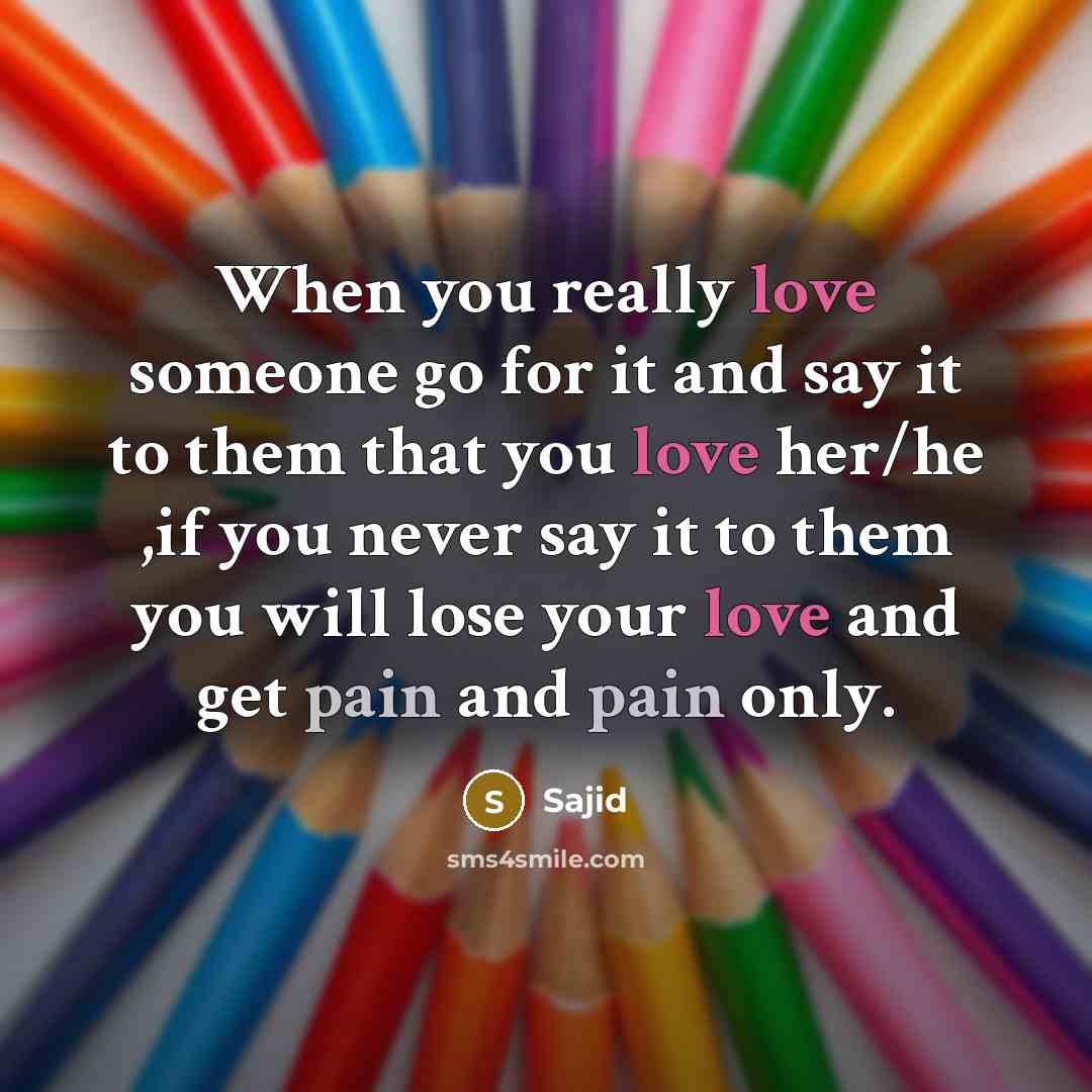 “When you really love someone go for it and say it to them that you love her/he ,if you never say it to them you will lose your love and get pain and pain only.” quote by Sajid