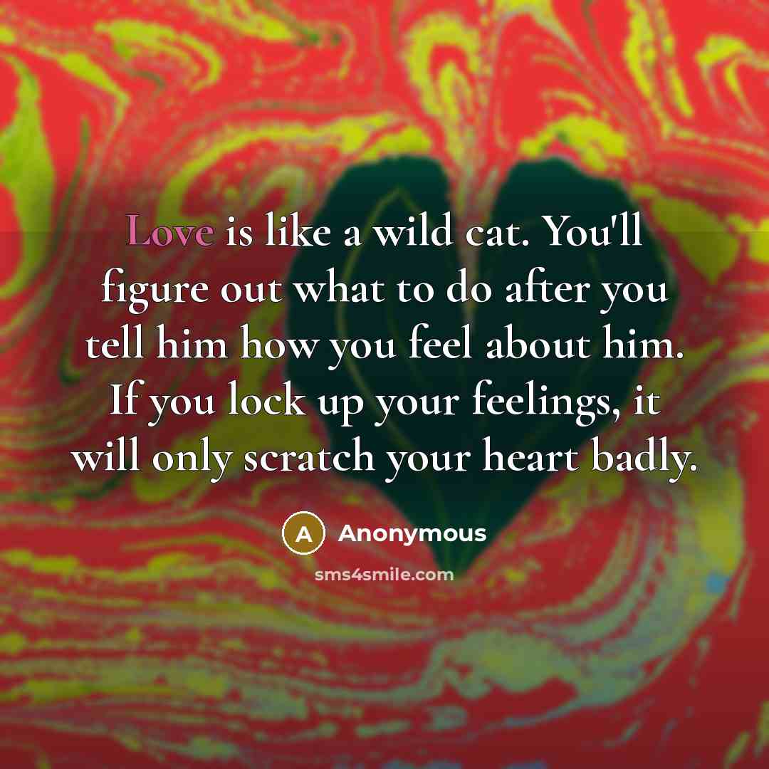 “Love is like a wild cat. You'll figure out what to do after you tell him how you feel about him. If you lock up your feelings, it will only scratch your heart badly.” quote by Anonymous