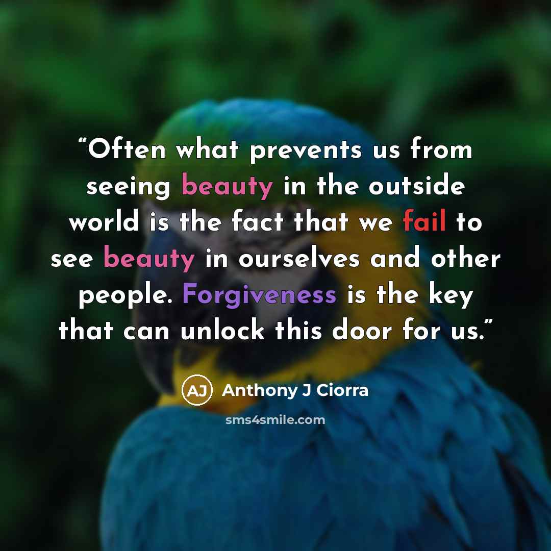 “Often what prevents us from seeing beauty in the outside world is the fact that we fail to see beauty in ourselves and other people. Forgiveness is the key that can unlock this door for us.” quote by Anthony J Ciorra