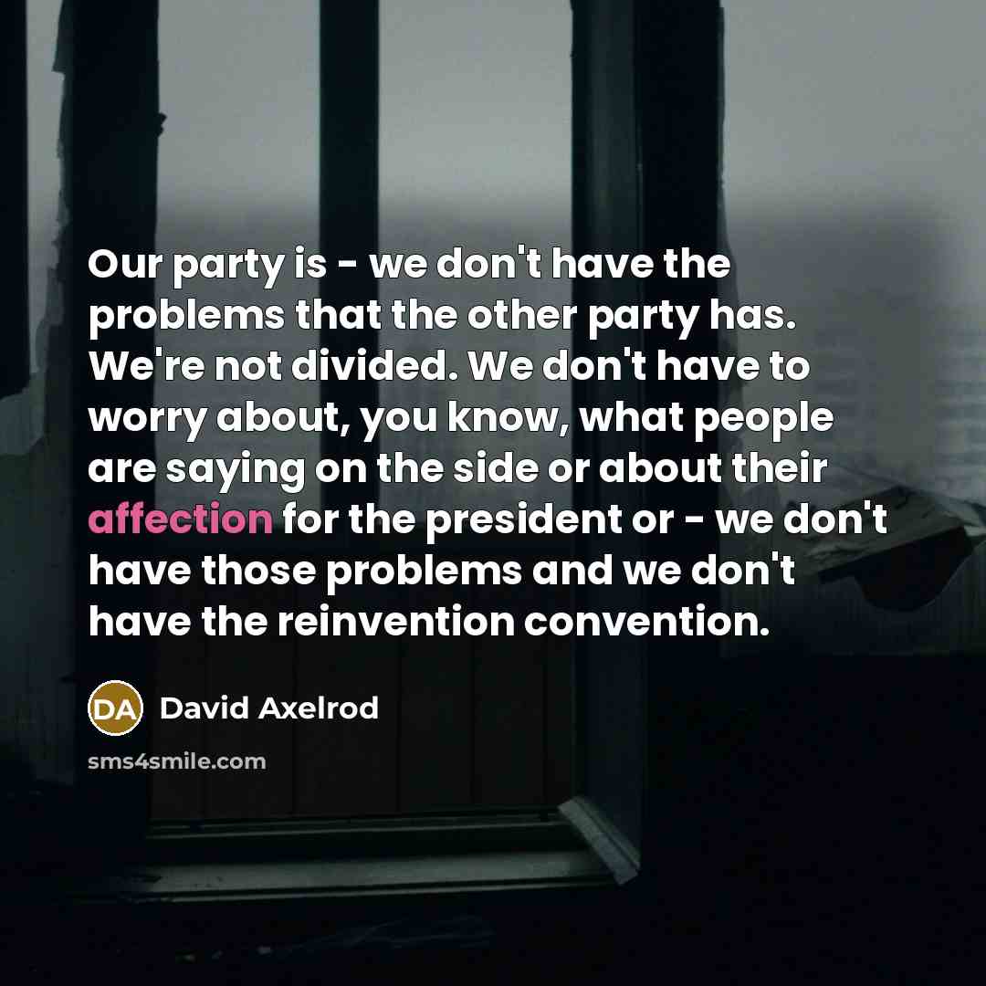 “Our party is - we don't have the problems that the other party has. We're not divided. We don't have to worry about, you know, what people are saying on the side or about their affection for the president or - we don't have those problems and we don't have the reinvention convention.” quote by David Axelrod