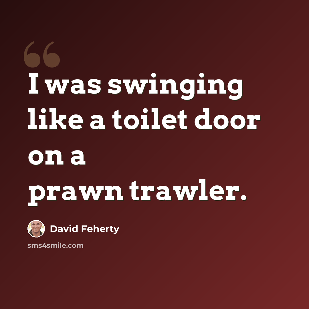“I was swinging like a toilet door on a prawn trawler.” quote by David Feherty
