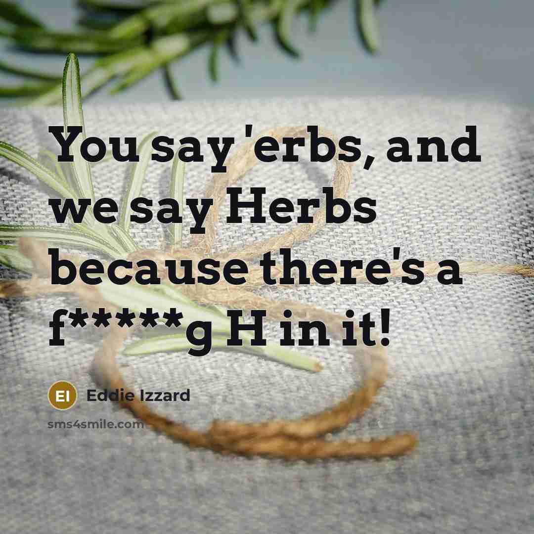“You say 'erbs, and we say Herbs because there's a f*****g H in it!” quote by Eddie Izzard