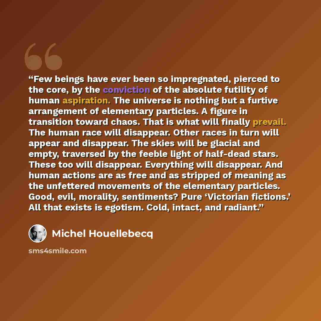 “Few beings have ever been so impregnated, pierced to the core, by the conviction of the absolute futility of human aspiration. The universe is nothing but a furtive arrangement of elementary particles. A figure in transition toward chaos. That is what will finally prevail. The human race will…” quote by Michel Houellebecq
