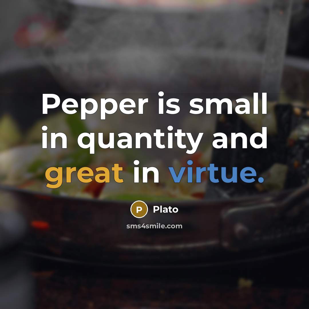 “Pepper is small in quantity and great in virtue.” quote by Plato