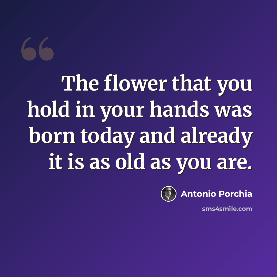 “The flower that you hold in your hands was born today and already it is as old as you are.” quote by Antonio Porchia