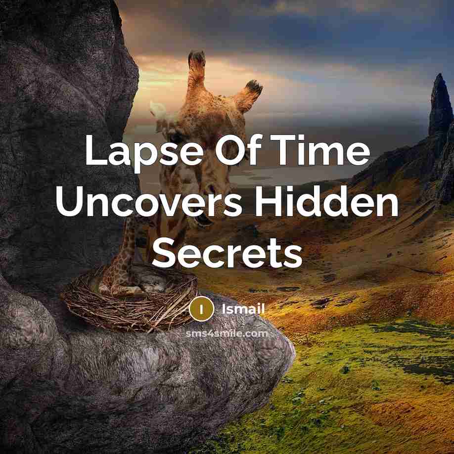 “Lapse Of Time Uncovers Hidden Secrets” quote by Ismail