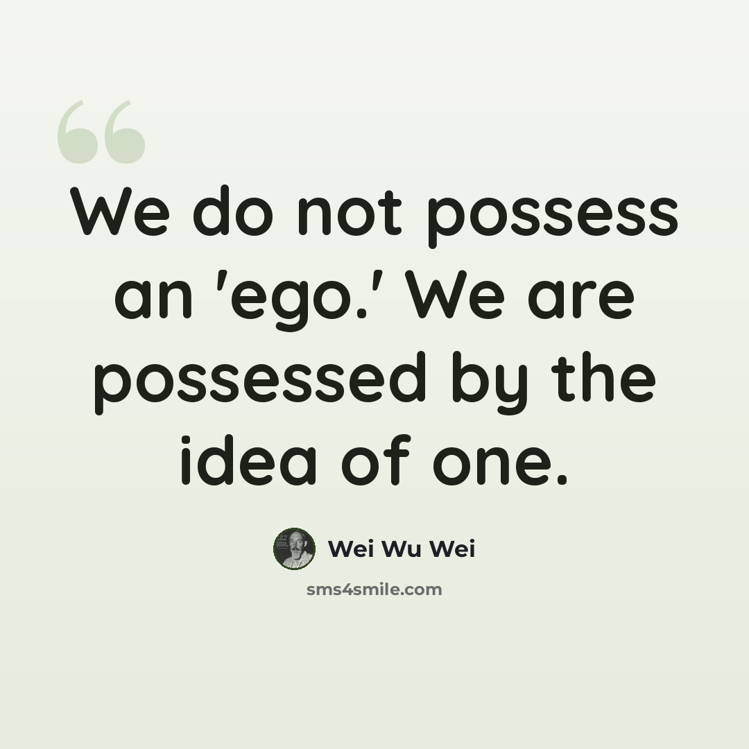 “We do not possess an 'ego.' We are possessed by the idea of one.” quote by Wei Wu Wei