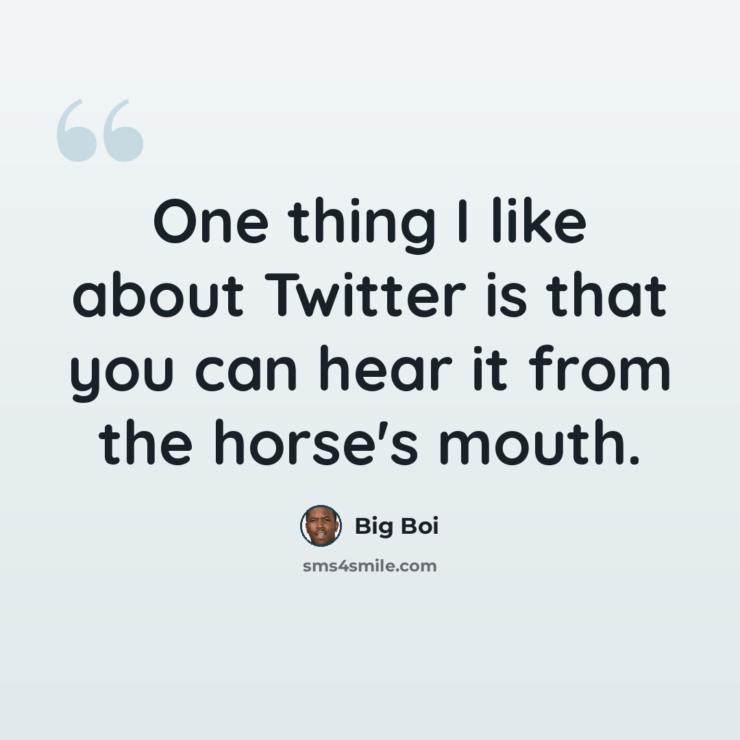 “One thing I like about Twitter is that you can hear it from the horse's mouth.” quote by Big Boi