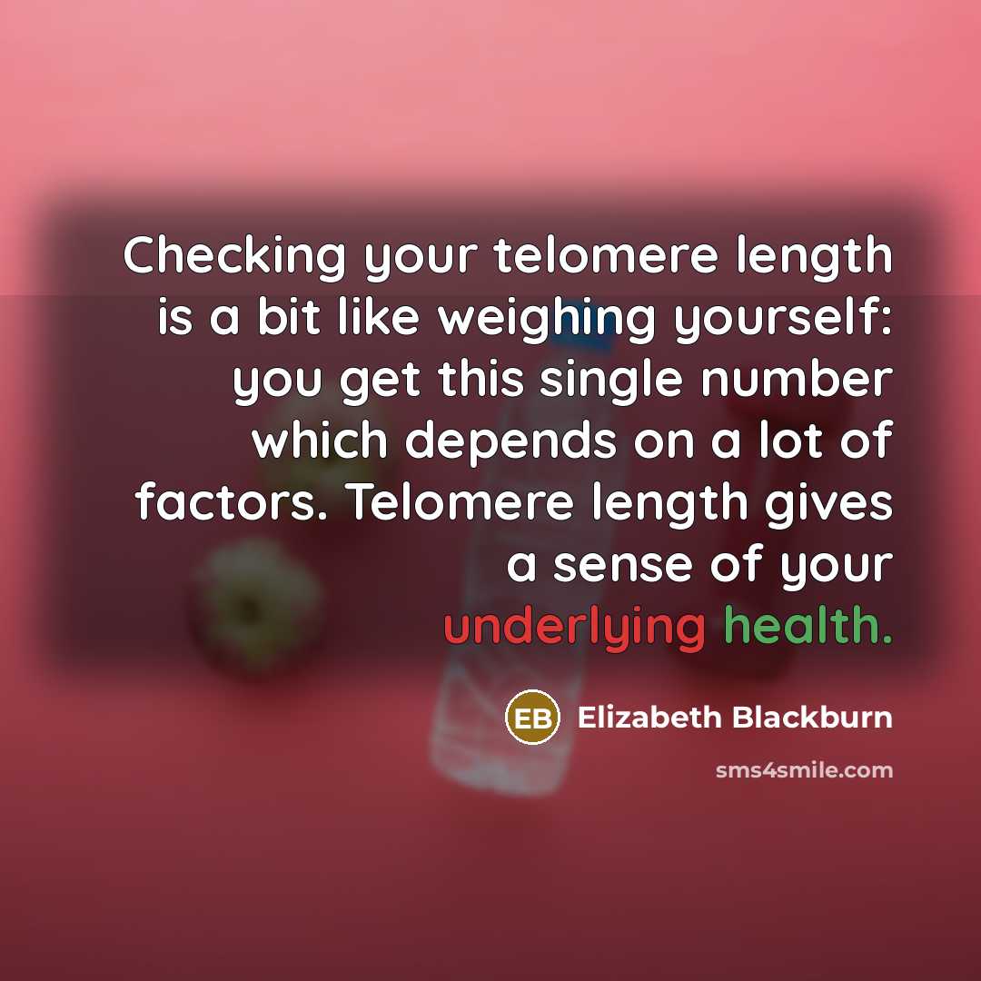“Checking your telomere length is a bit like weighing yourself: you get this single number which depends on a lot of factors. Telomere length gives a sense of your underlying health.” quote by Elizabeth Blackburn