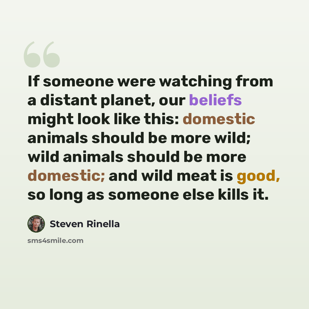 “If someone were watching from a distant planet, our beliefs might look like this: domestic animals should be more wild; wild animals should be more domestic; and wild meat is good, so long as someone else kills it.” quote by Steven Rinella