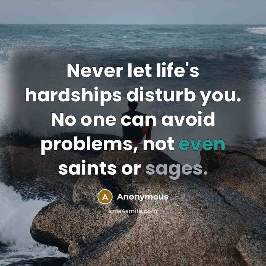 “Never let life's hardships disturb you. No one can avoid problems, not even saints or sages.” quote by Anonymous