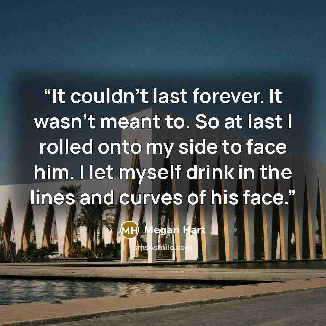 “It couldn’t last forever. It wasn’t meant to. So at last I rolled onto my side to face him. I let myself drink in the lines and curves of his face.” quote by Megan Hart