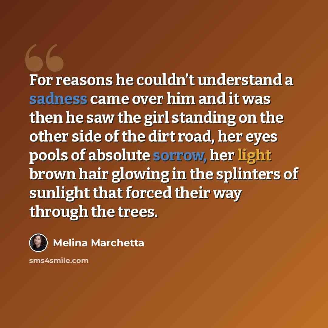 “For reasons he couldn’t understand a sadness came over him and it was then he saw the girl standing on the other side of the dirt road, her eyes pools of absolute sorrow, her light brown hair glowing in the splinters of sunlight that forced their way through the trees.” quote by Melina Marchetta