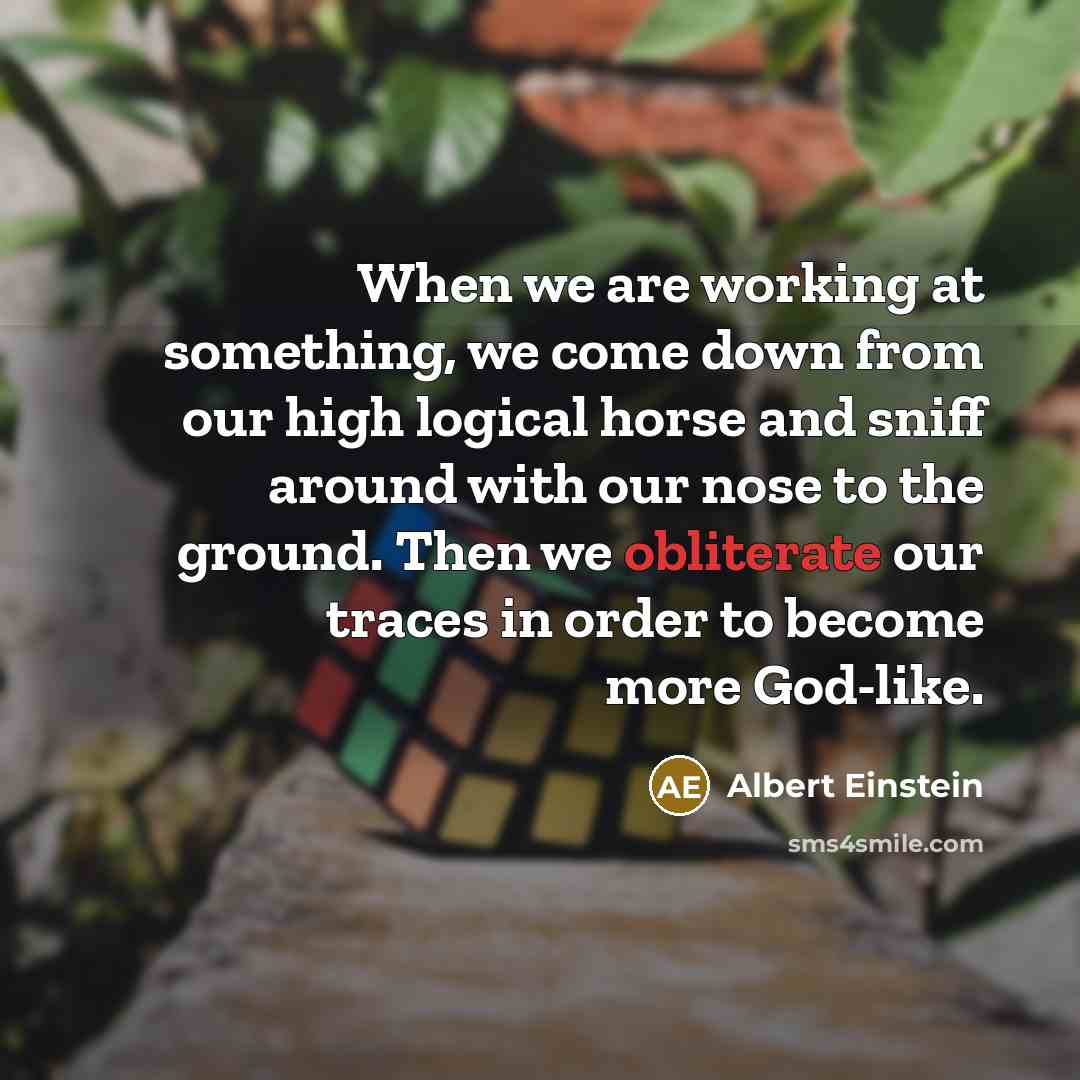 “When we are working at something, we come down from our high logical horse and sniff around with our nose to the ground. Then we obliterate our traces in order to become more God-like.” quote by Albert Einstein
