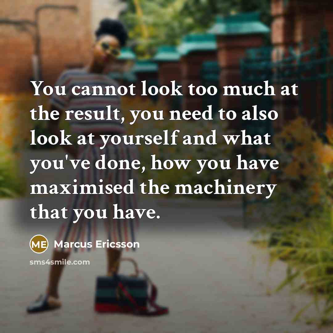 “You cannot look too much at the result, you need to also look at yourself and what you've done, how you have maximised the machinery that you have.” quote by Marcus Ericsson
