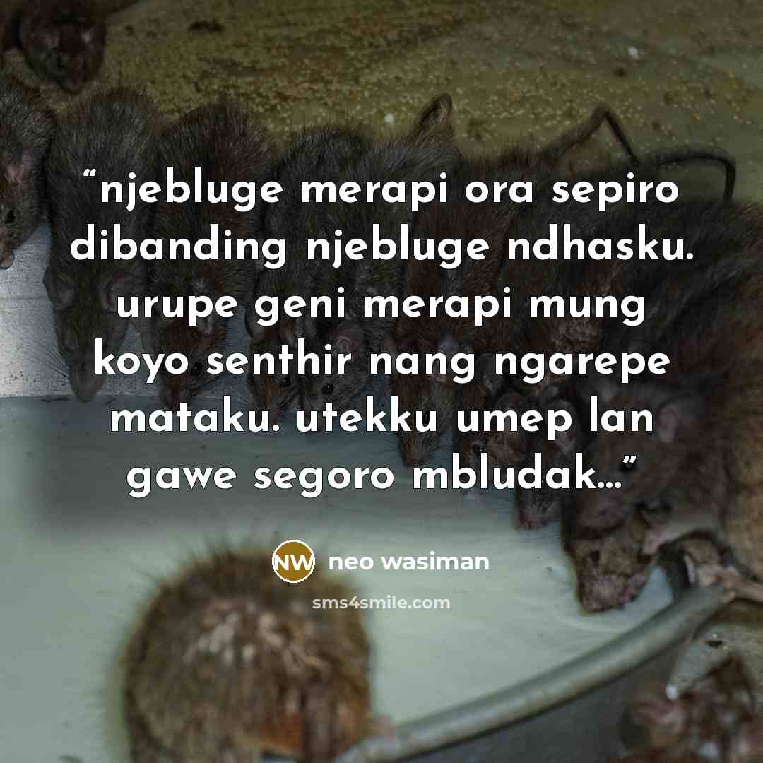“njebluge merapi ora sepiro dibanding njebluge ndhasku. urupe geni merapi mung koyo senthir nang ngarepe mataku. utekku umep lan gawe segoro mbludak…” quote by neo wasiman