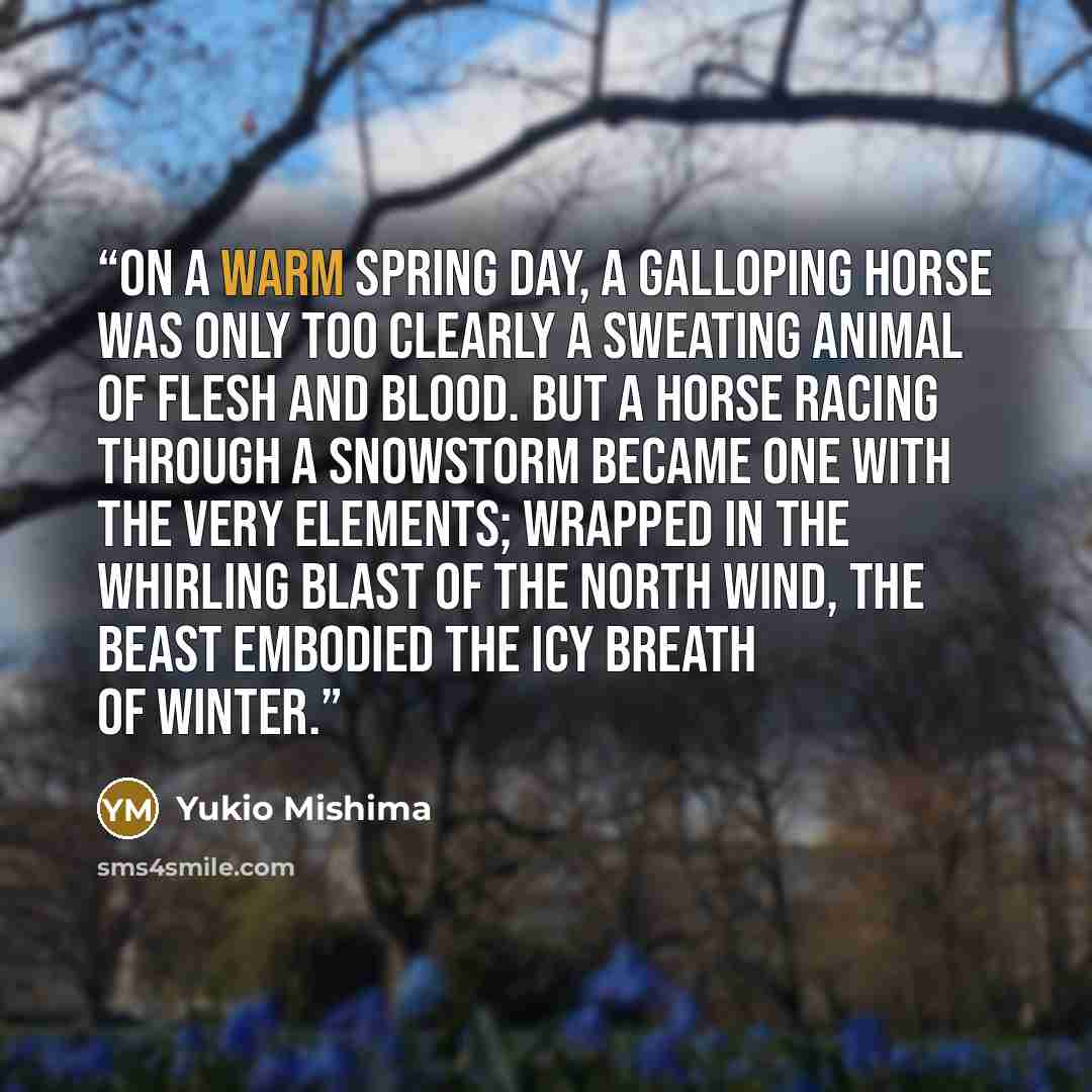 “On a warm spring day, a galloping horse was only too clearly a sweating animal of flesh and blood. But a horse racing through a snowstorm became one with the very elements; wrapped in the whirling blast of the north wind, the beast embodied the icy breath of winter.” quote by Yukio Mishima