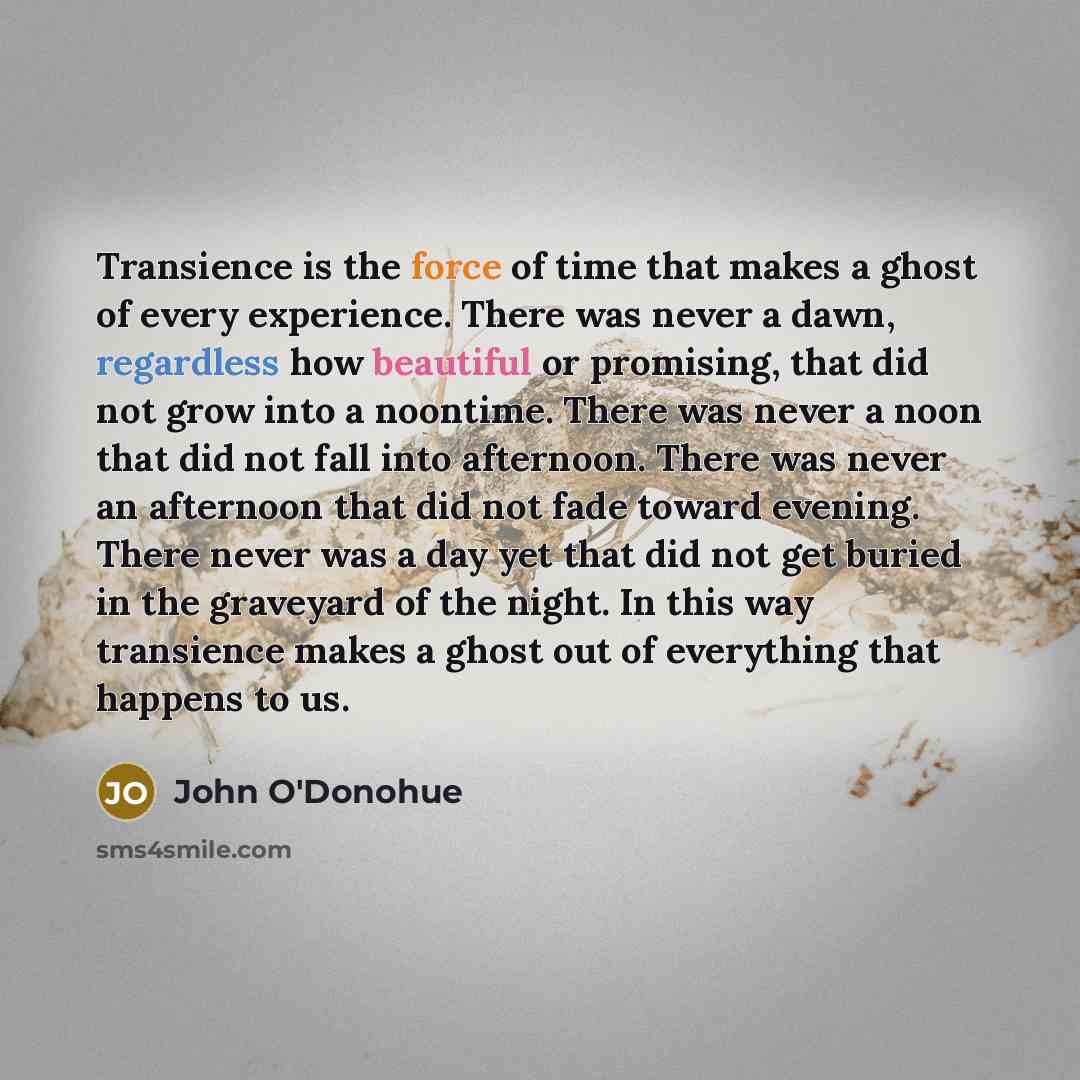 “Transience is the force of time that makes a ghost of every experience. There was never a dawn, regardless how beautiful or promising, that did not grow into a noontime. There was never a noon that did not fall into afternoon. There was never an afternoon that did not fade toward evening. There…” quote by John O'Donohue