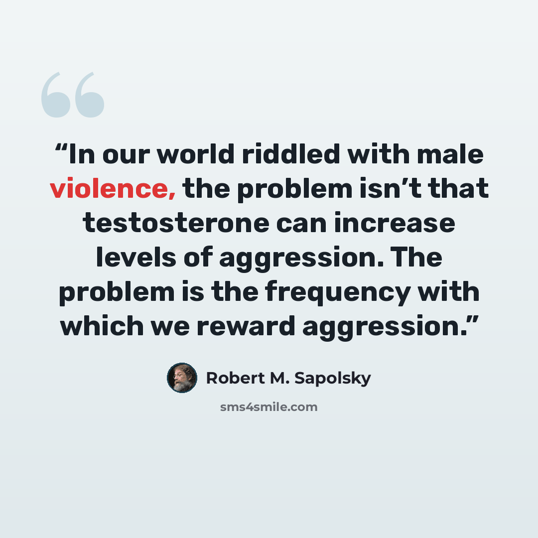 “In our world riddled with male violence, the problem isn’t that testosterone can increase levels of aggression. The problem is the frequency with which we reward aggression.” quote by Robert M. Sapolsky