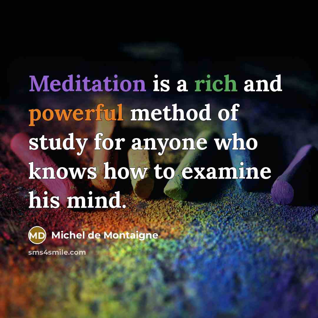 “Meditation is a rich and powerful method of study for anyone who knows how to examine his mind.” quote by Michel de Montaigne