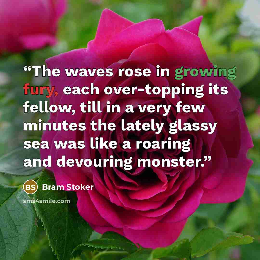 “The waves rose in growing fury, each over-topping its fellow, till in a very few minutes the lately glassy sea was like a roaring and devouring monster.” quote by Bram Stoker