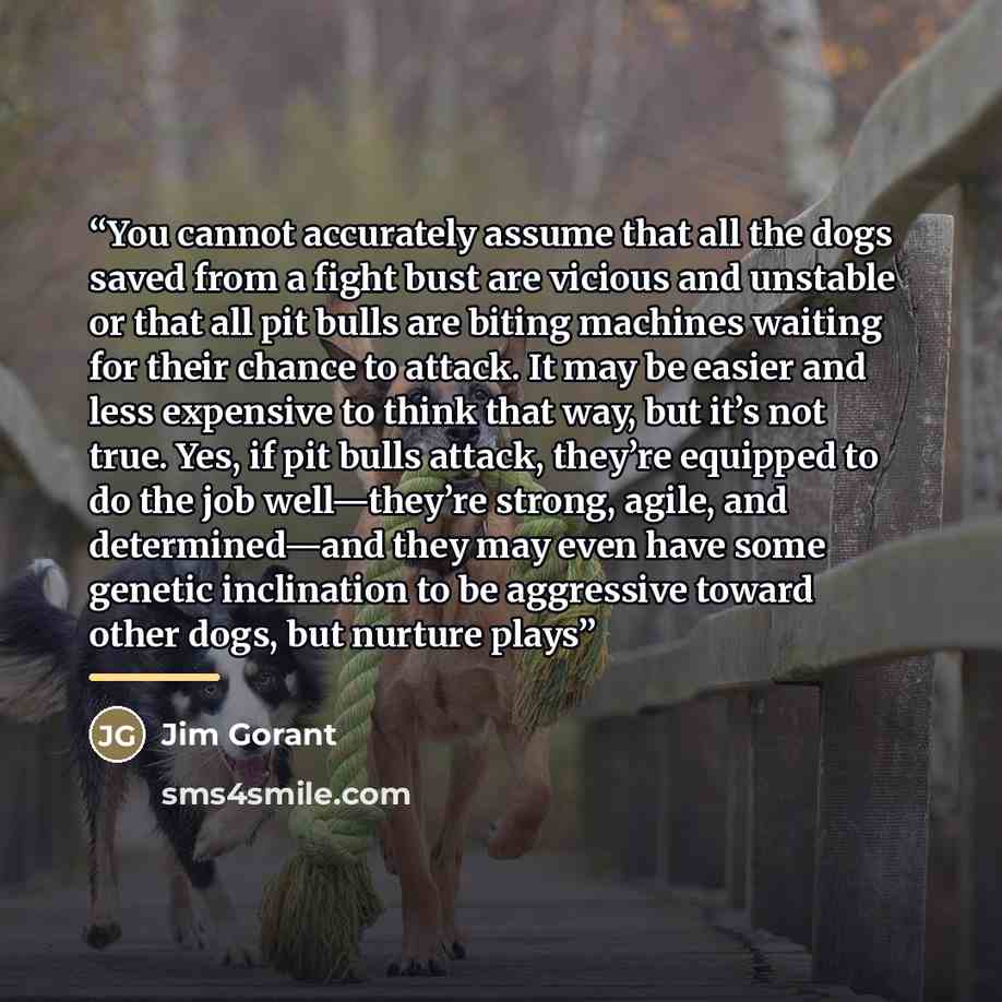 “You cannot accurately assume that all the dogs saved from a fight bust are vicious and unstable or that all pit bulls are biting machines waiting for their chance to attack. It may be easier and less expensive to think that way, but it’s not true. Yes, if pit bulls attack, they’re equipped to do…” quote by Jim Gorant