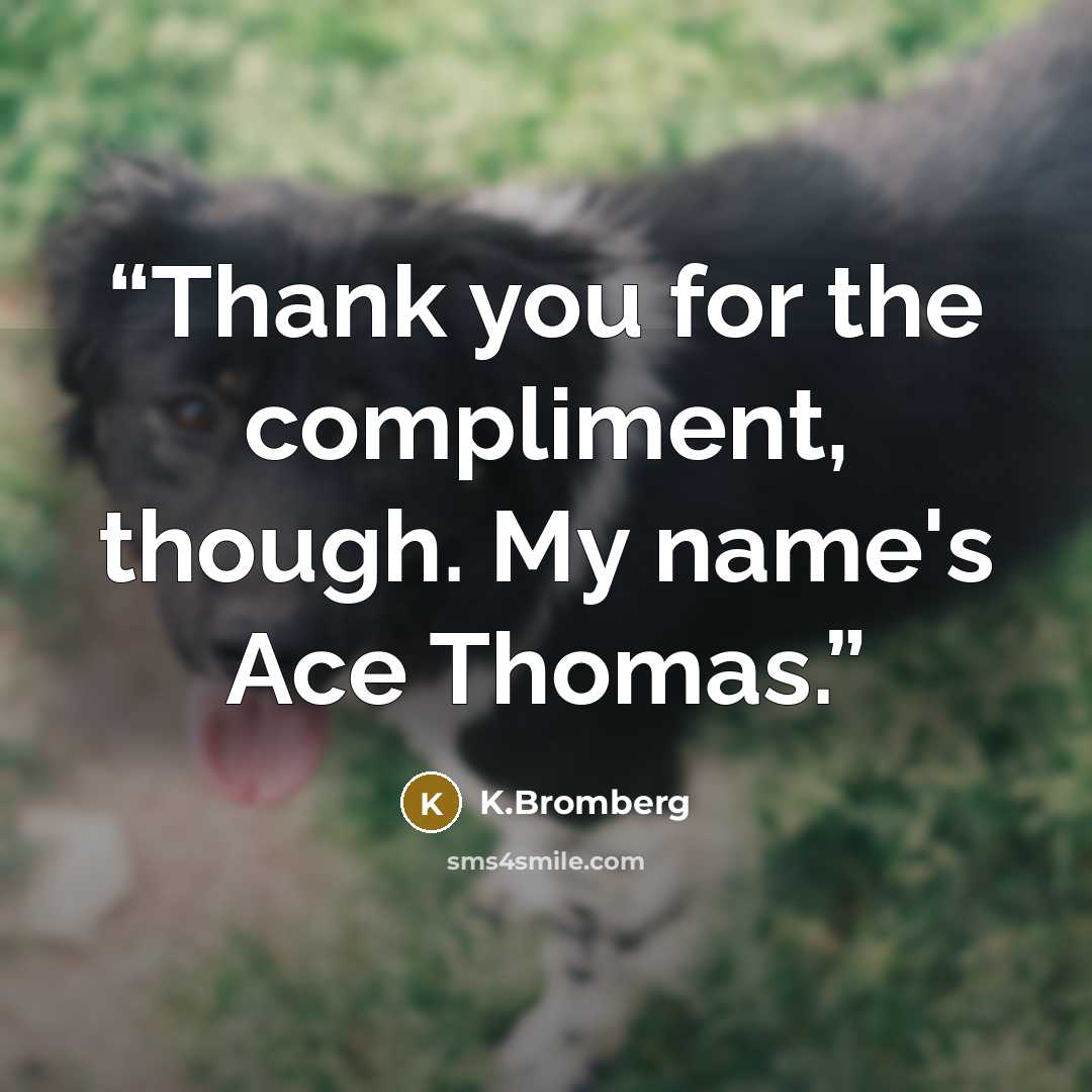 “Thank you for the compliment, though. My name's Ace Thomas.” quote by K.Bromberg