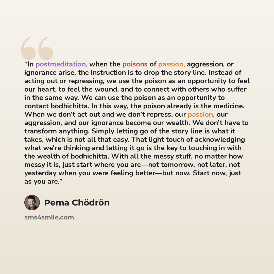 “In postmeditation, when the poisons of passion, aggression, or ignorance arise, the instruction is to drop the story line. Instead of acting out or repressing, we use the poison as an opportunity to feel our heart, to feel the wound, and to connect with others who suffer in the same way. We can…” quote by Pema Chödrön