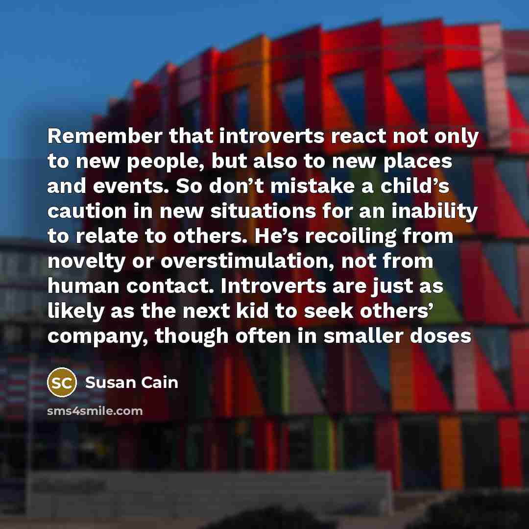 “Remember that introverts react not only to new people, but also to new places and events. So don’t mistake a child’s caution in new situations for an inability to relate to others. He’s recoiling from novelty or overstimulation, not from human contact. Introverts are just as likely as the next kid…” quote by Susan Cain