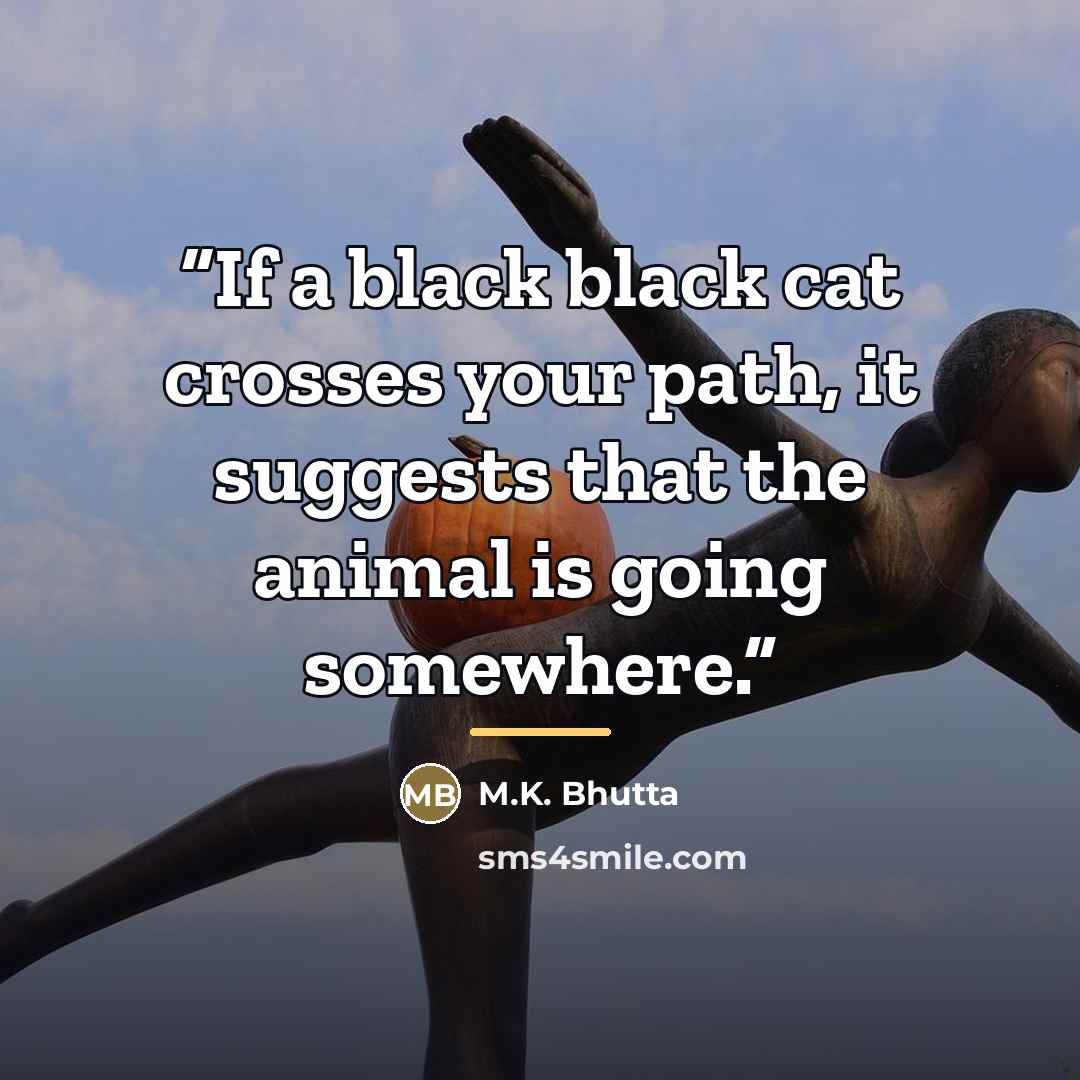 “If a black black cat crosses your path, it suggests that the animal is going somewhere.” quote by M.K. Bhutta