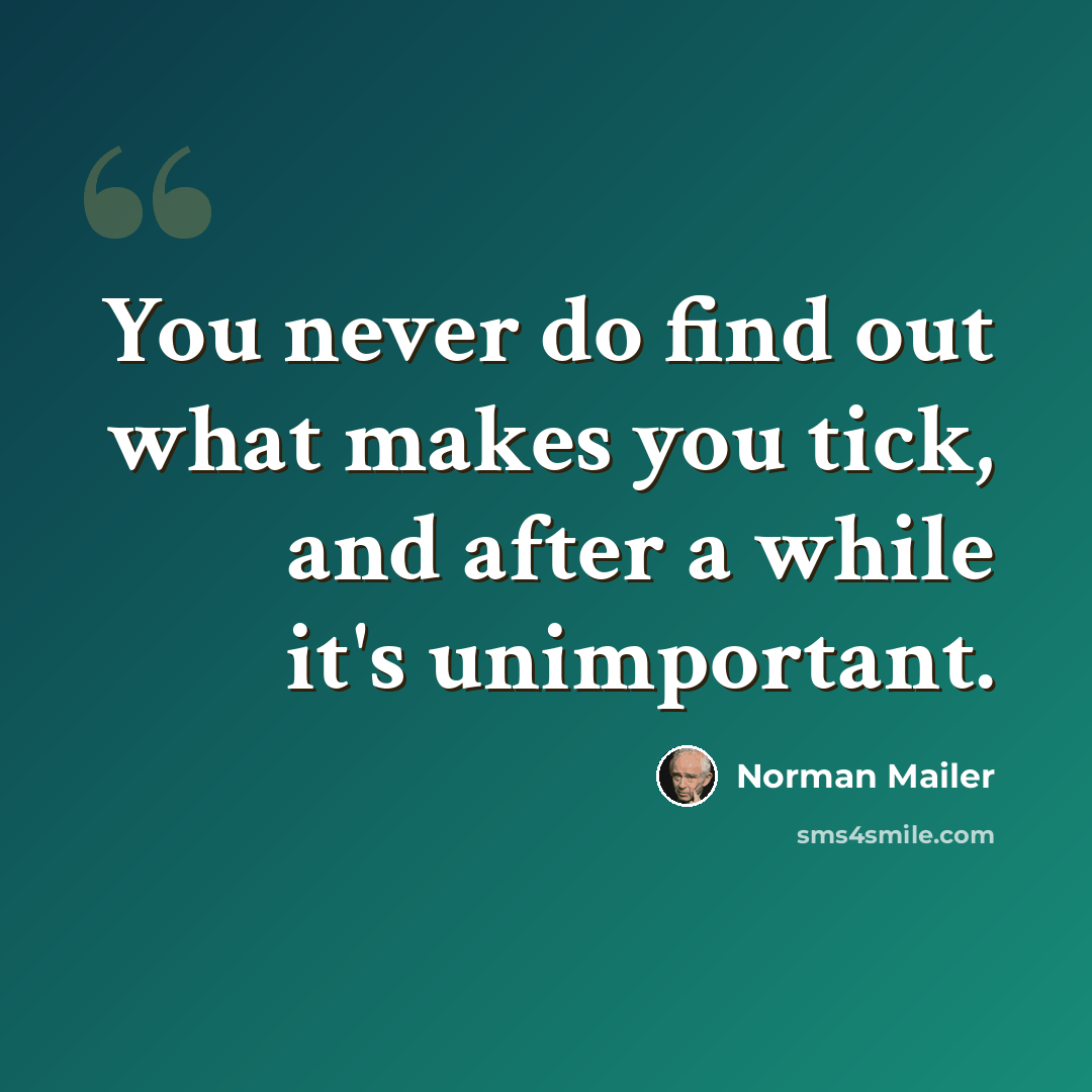 “You never do find out what makes you tick, and after a while it's unimportant.” quote by Norman Mailer