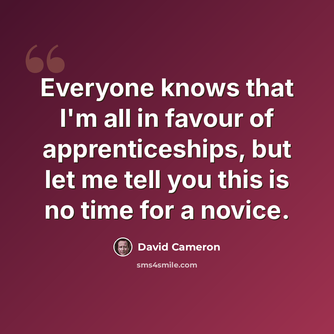 “Everyone knows that I'm all in favour of apprenticeships, but let me tell you this is no time for a novice.” quote by David Cameron