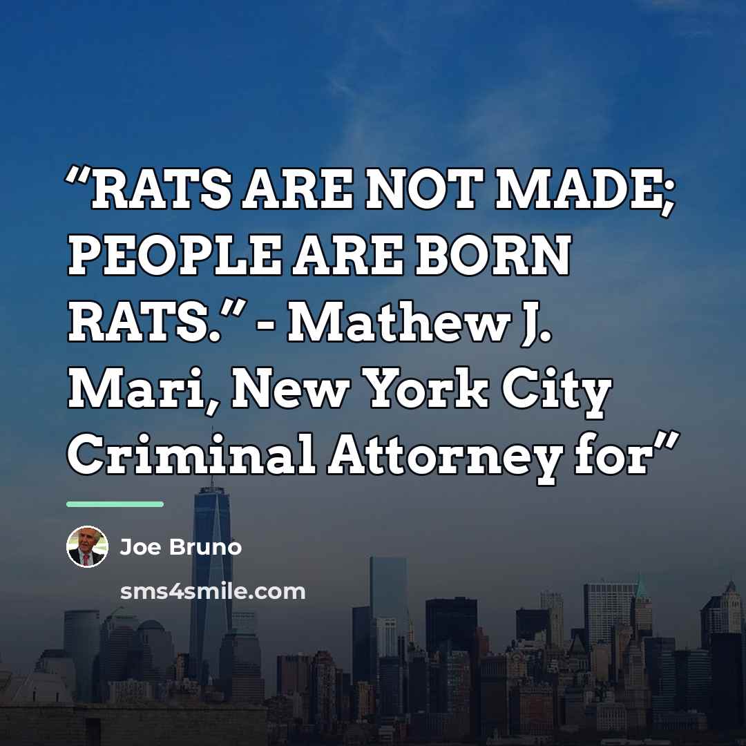 “RATS ARE NOT MADE; PEOPLE ARE BORN RATS.” - Mathew J. Mari, New York City Criminal Attorney for” quote by Joe Bruno