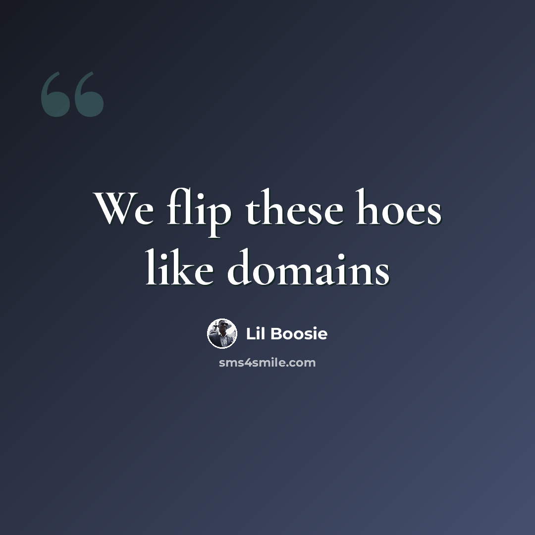 “We flip these hoes like domains” quote by Lil Boosie