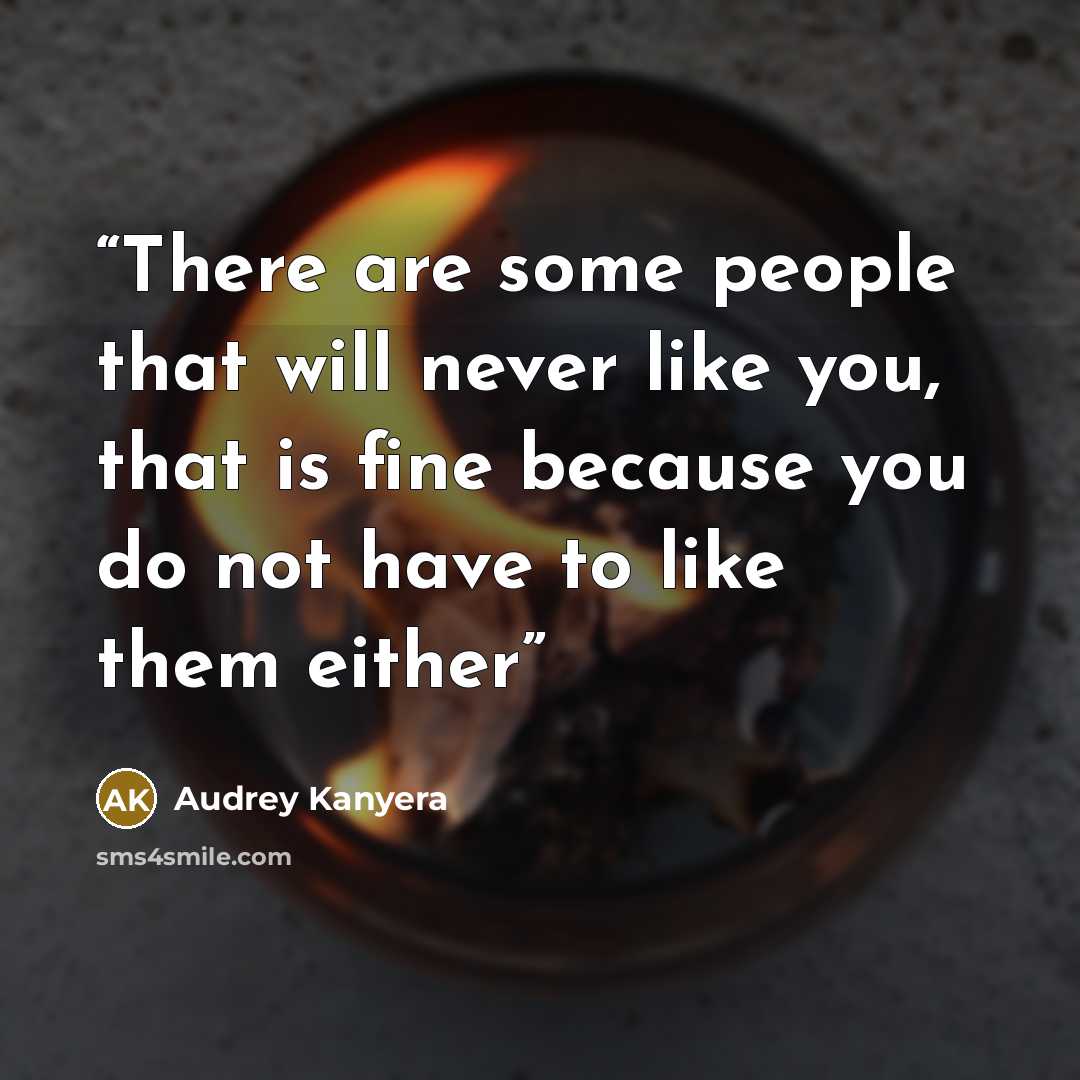 “There are some people that will never like you, that is fine because you do not have to like them either” quote by Audrey Kanyera