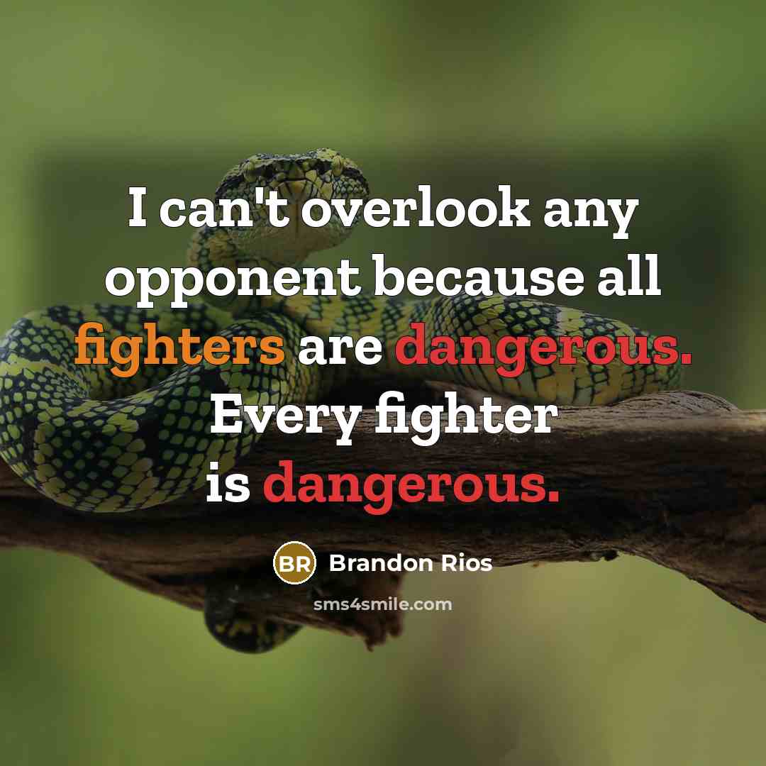 “I can't overlook any opponent because all fighters are dangerous. Every fighter is dangerous.” quote by Brandon Rios