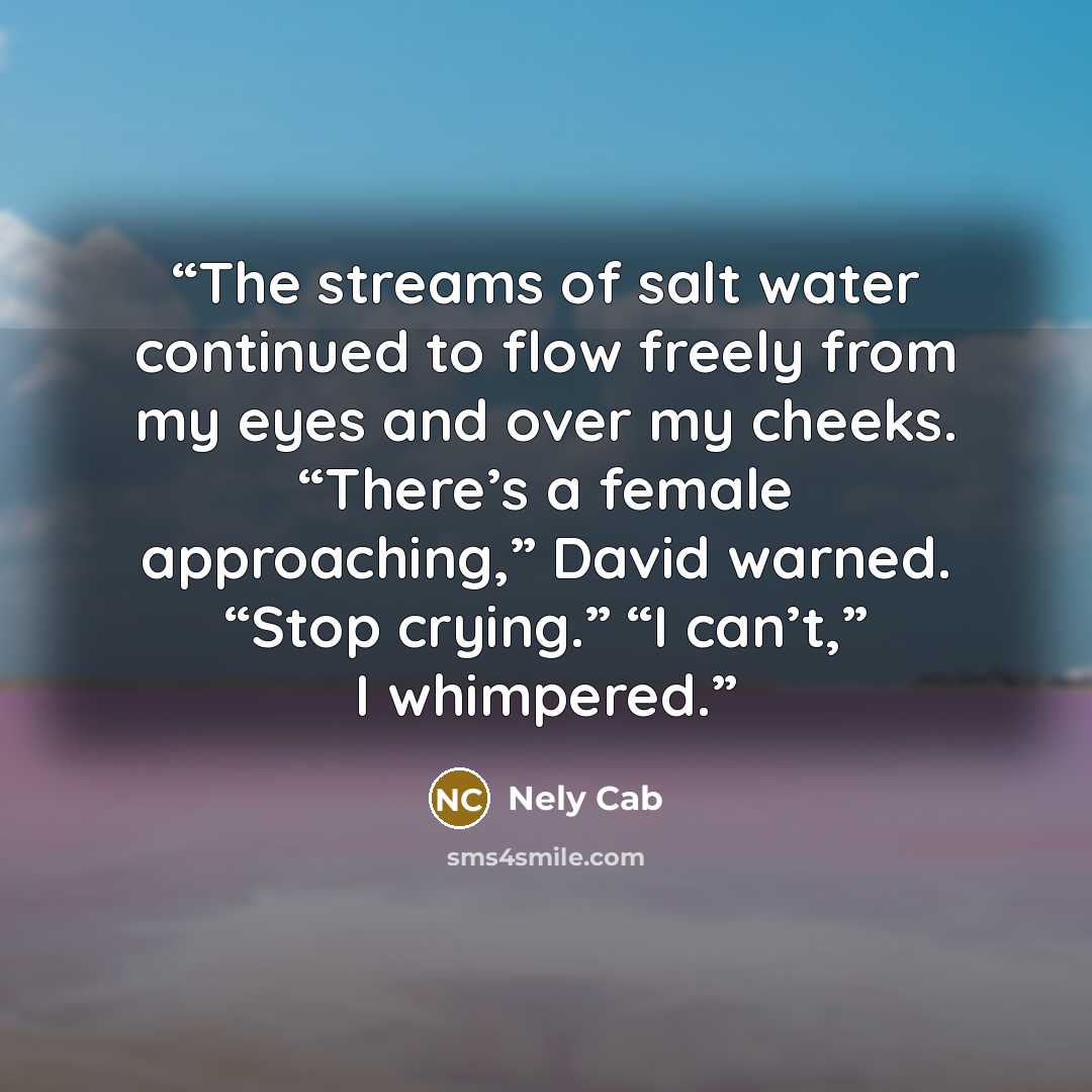 “The streams of salt water continued to flow freely from my eyes and over my cheeks. “There’s a female approaching,” David warned. “Stop crying.” “I can’t,” I whimpered.” quote by Nely Cab
