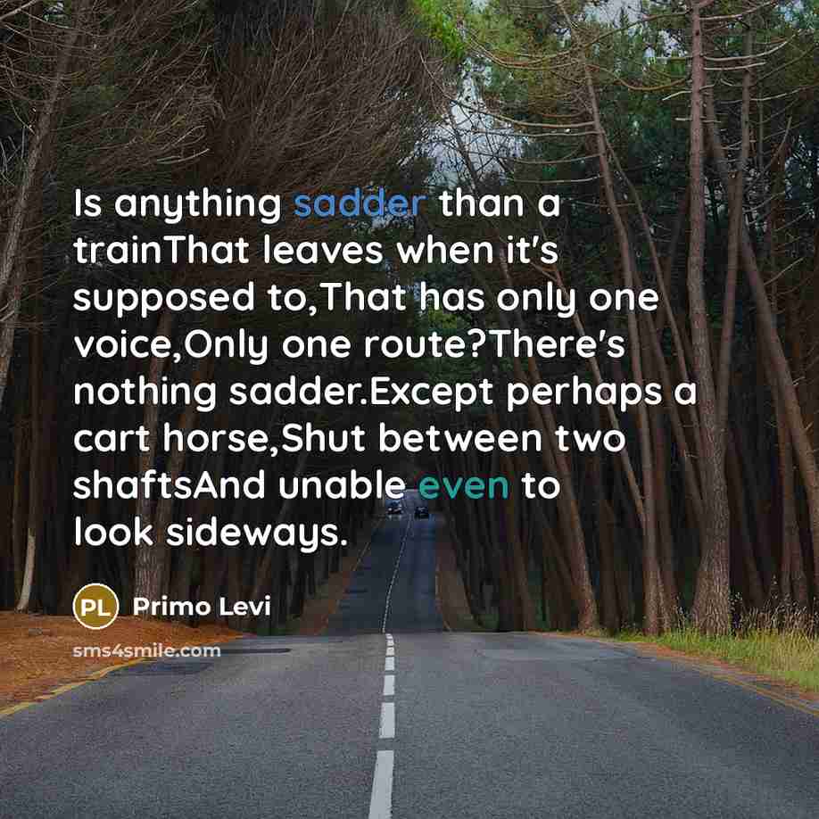 “Is anything sadder than a trainThat leaves when it's supposed to,That has only one voice,Only one route?There's nothing sadder.Except perhaps a cart horse,Shut between two shaftsAnd unable even to look sideways.” quote by Primo Levi