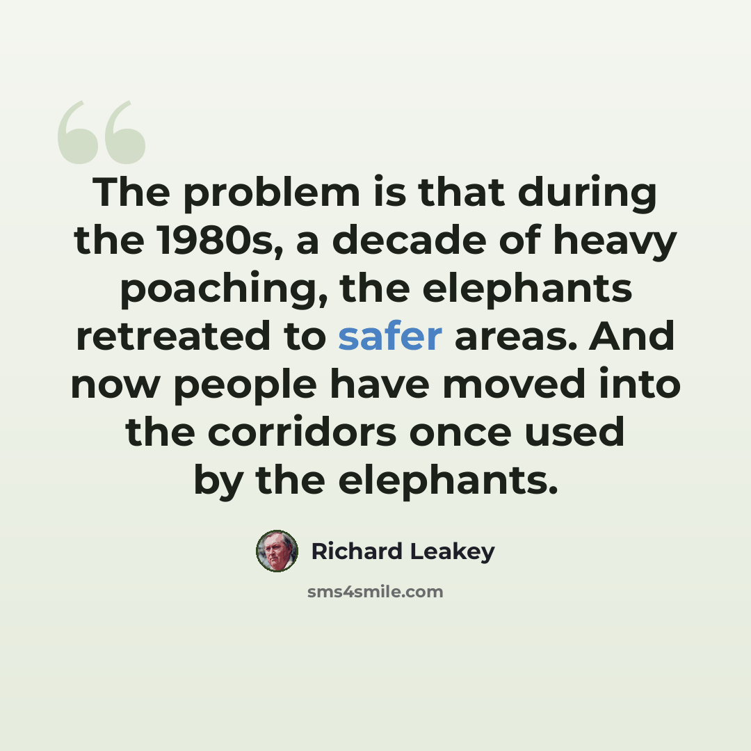 “The problem is that during the 1980s, a decade of heavy poaching, the elephants retreated to safer areas. And now people have moved into the corridors once used by the elephants.” quote by Richard Leakey