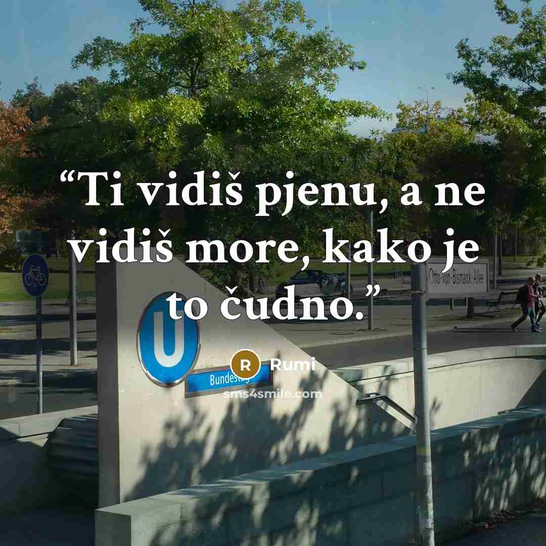 “Ti vidiš pjenu, a ne vidiš more, kako je to čudno.” quote by Rumi